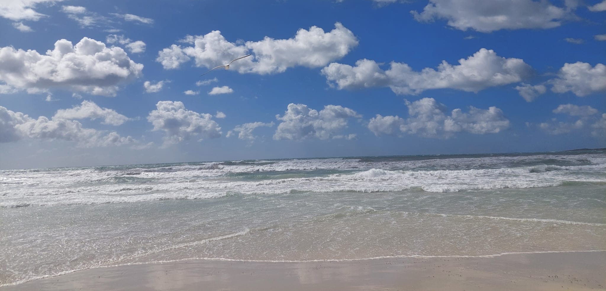 Meer im Hintergrund - Authentische Kommunikation