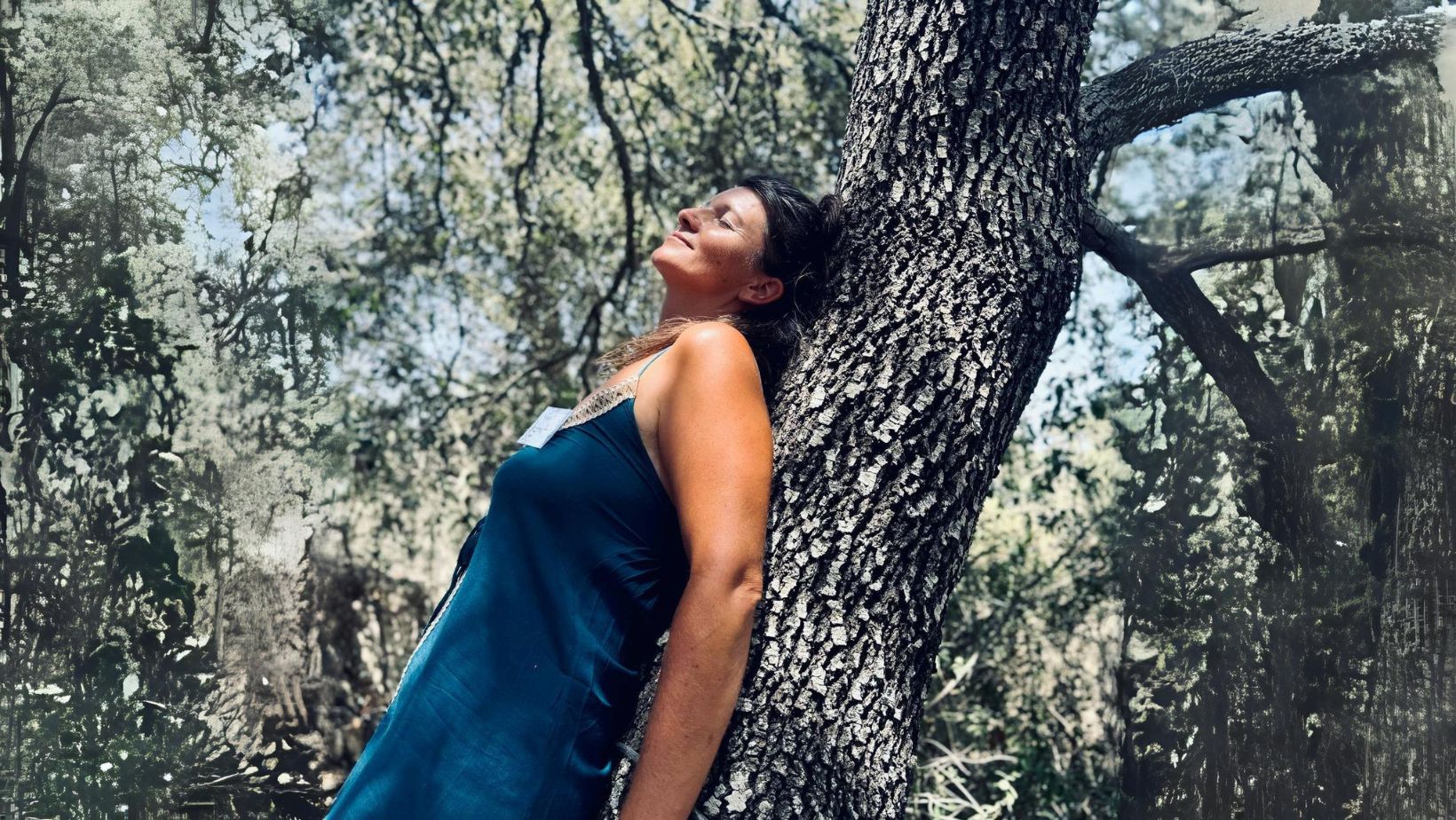 erdung am Baum - Holistische Lebensberatung